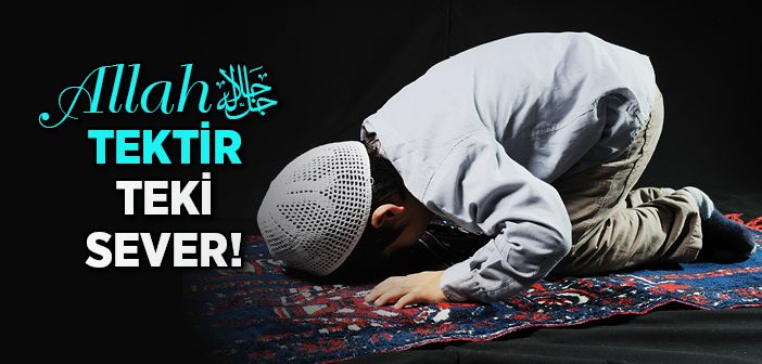 Müstehabın Hükmü Nedir?