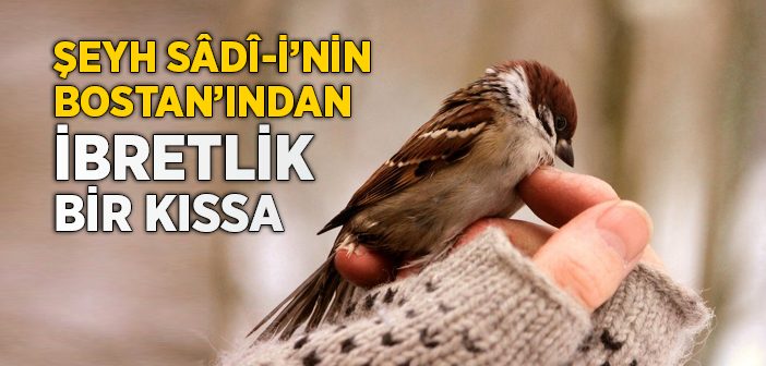 Şeyh Sadi'nin Bostan'ından İbretlik Bir Kıssa