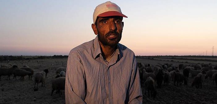 Görme Engelli Suriyeli Çobanın Ekmek Kavgası