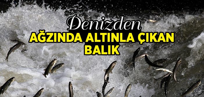 Mâlik Bin Dinar (ks) Kimdir?