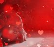 Hak'tan Ayrı Düştü Yandı Pişti