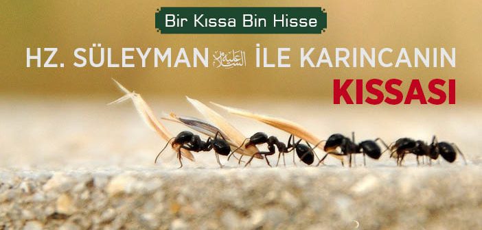 Hz. Süleyman (a.s.) İle Karınca Kıssası