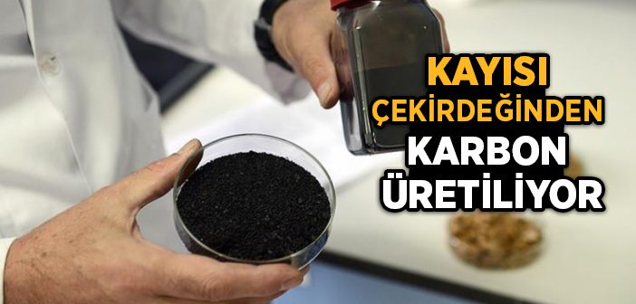 Kayısı Çekirdeğinden Karbon Üretiliyor