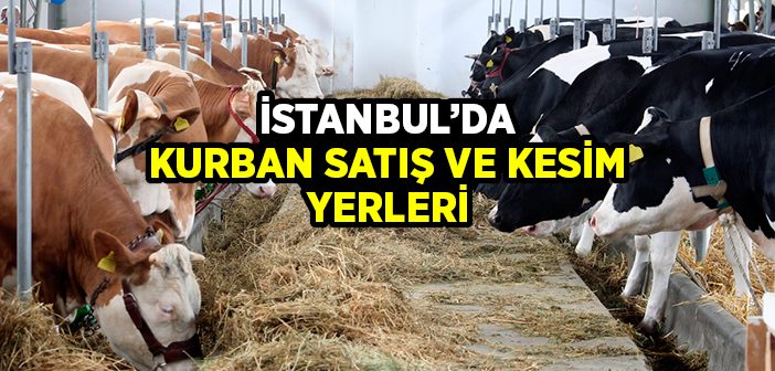 2016 İstanbul'da Kurban Satış ve Kesim Yerleri