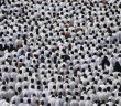 Arafat 