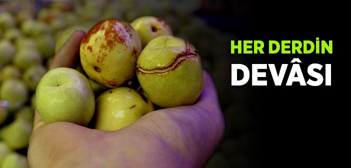 Hünnabın Faydaları Nelerdir?