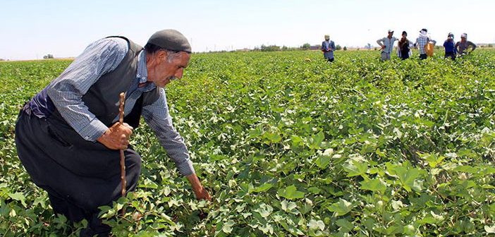 40 Derece Sıcakta Ekmek Parası Kazanıyorlar