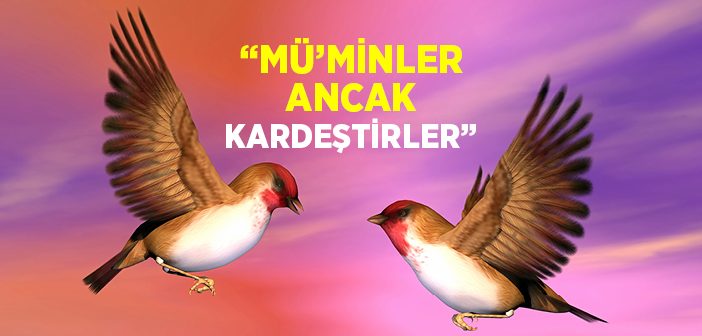 Mü'minler Arasında Kardeşlik Bilinci