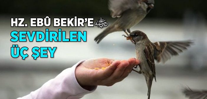 Hz. Ebû Bekir'in (ra) Gönül Gözüyle Rasûlullah