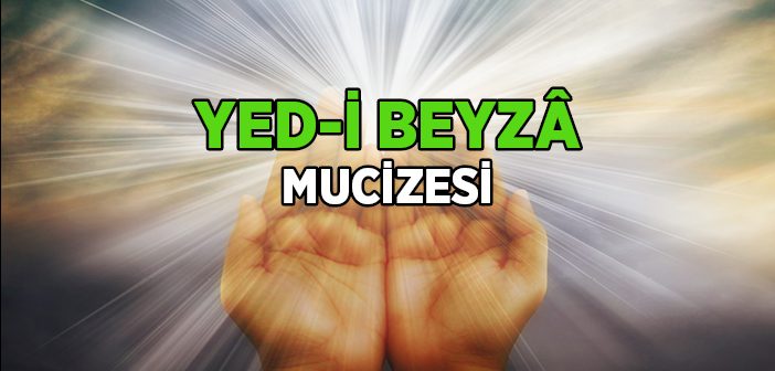 Yed-i Beyzâ Nedir?