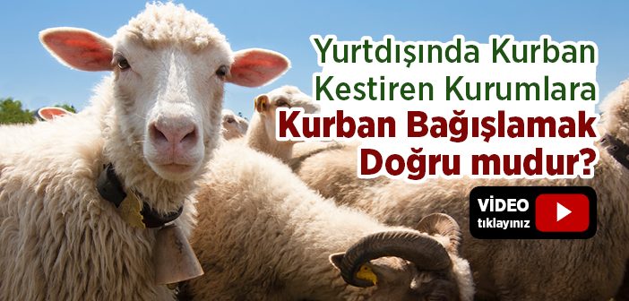 Yurt Dışına Kurban Bağışlamak Doğru mu?