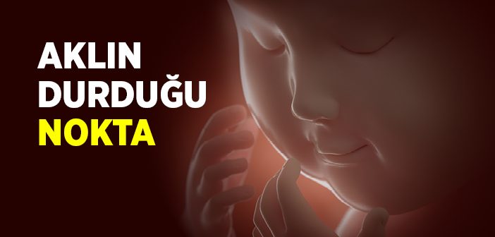 Aklın Durduğu Nokta