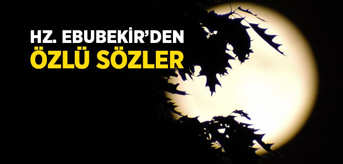 Hz. Ebû Bekir'den Nasihatler