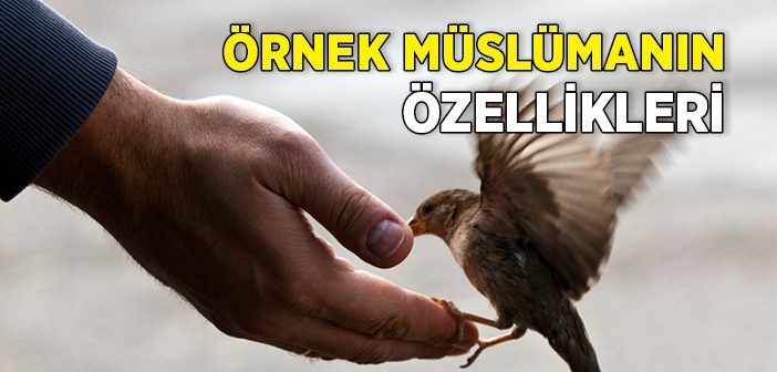 Hakiki Müslümanın Özellikleri