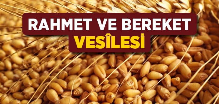 Rahmet ve Bereket Vesîlesi
