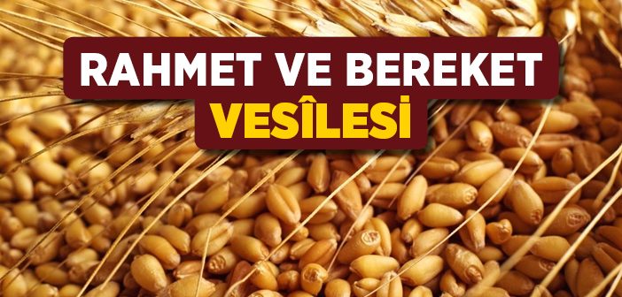 Rahmet ve Bereket Vesîlesi