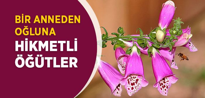 Esma Binti Ebubekir (r.a.) Kimdir?