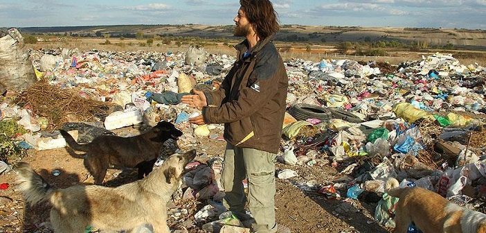 Çöplükteki Sokak Hayvanlarının Bakıcısı Oldu