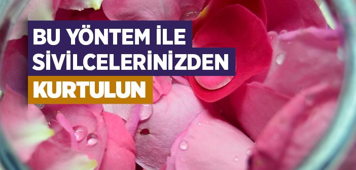 Gül Suyu Maskesi İle Sivilcelere Veda Edin!