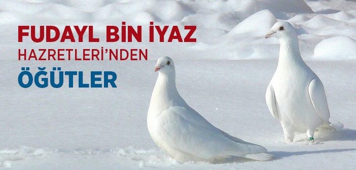 Fudayl Bin İyaz Hazretleri'nden Öğütler