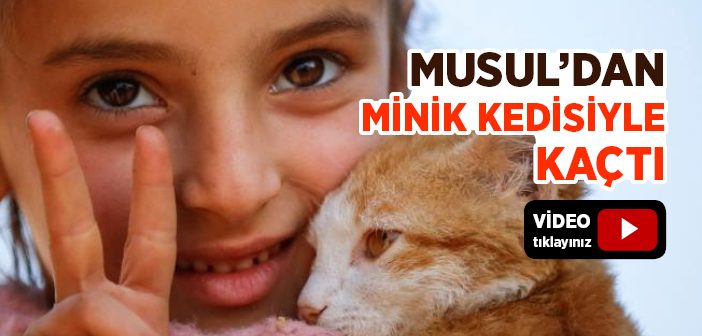 Musul'dan Minik Kedisiyle Kaçtı
