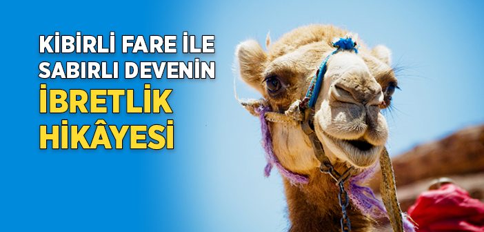 Kibirli Fare İle Sabırlı Devenin İbretlik Hikâyesi