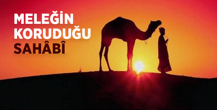 melegin_korudugu_sahabi