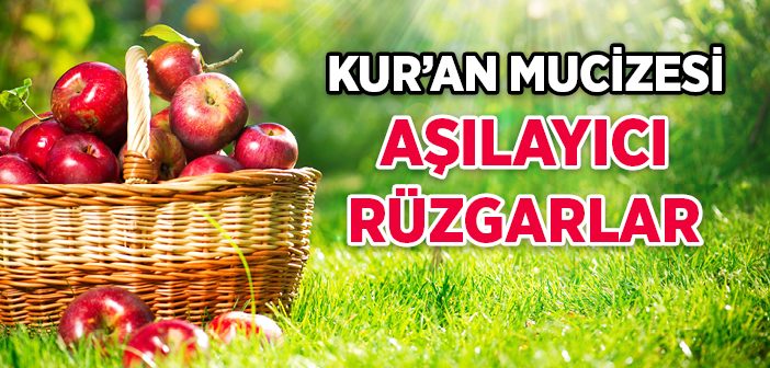 Kur'an'da Geçen Aşılayıcı Rüzgarlar Mucizesi