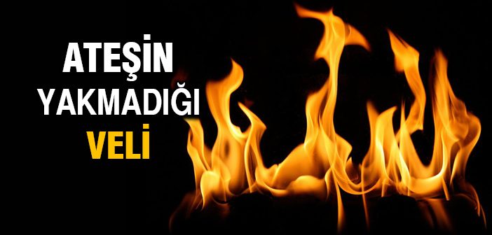 Şehvet Nedir?