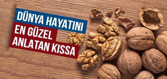 Dünya Hayatını En Güzel Anlatan Kıssa