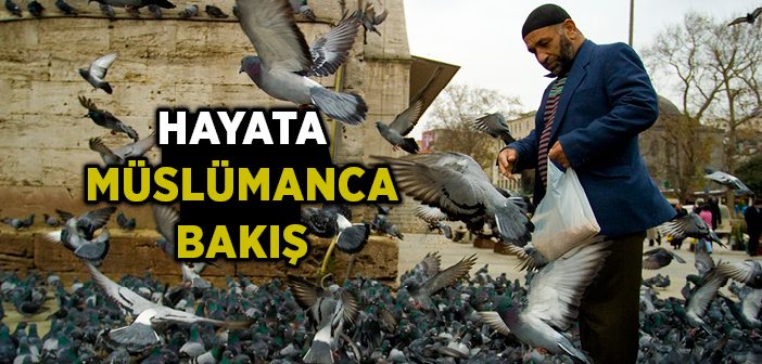 Hayata Müslümanca Bakış