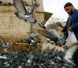 Hayata Müslümanca Bakış