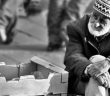 İnsanın En Büyük İki Düşmanı