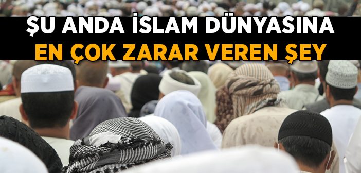 Şu Anda İslam Dünyasına En Çok Zarar Veren Şey