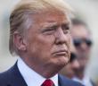 Türkler Trump'a İslam'ı Anlatan Kitap Gönderiyor