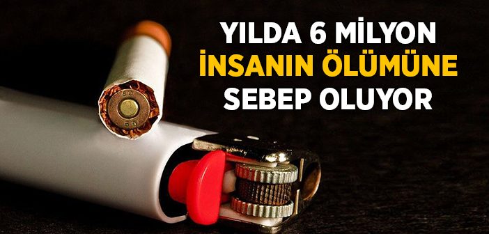 Dünya Sağlık Örgütü Sigara Verileri