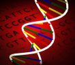 Kültürel Farklar İnsan Dna'sında Var
