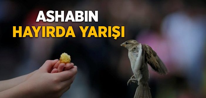 Umeyr İbni Sa'd (r.a.) Kimdir?