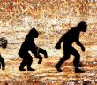 Evrim Teorisi ve Darwin Müfredattan Kaldırıldı