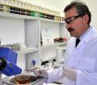Yerli Fenolsüz Besin Gübresi Üretildi