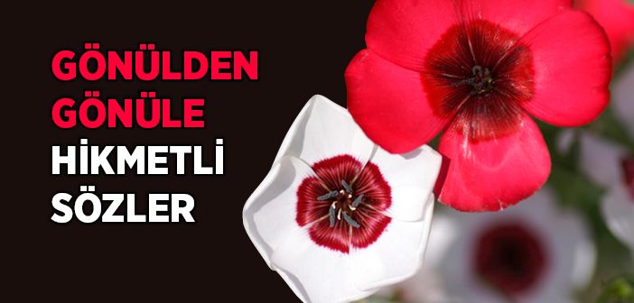 Gönülden Gönüle Hikmetli Sözler