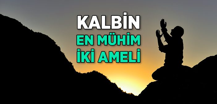 Kalbin En Mühim İki Ameli