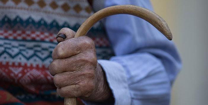 İki Dil Bilen Yaşlılar Beyinlerini Daha Etkin Kullanıyor