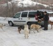 Onlar İçin Her Gün 50 Km Yol Yürüyor