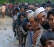 Bm'den Korkutan Myanmar Raporu
