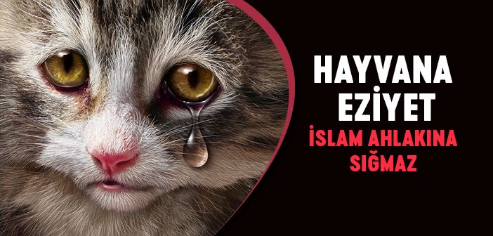 Hayvana Eziyet İslam Ahlakına Sığmaz