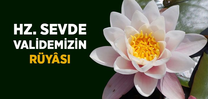 Sevde Binti Zem'a (r.a.) Kimdir?