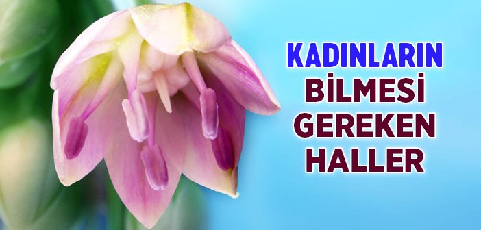 Kadınlara Mahsus Haller Nelerdir?