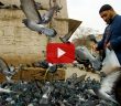 İman Edenler Allah Yolunda Mücadele Eder
