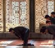 İnsan Yetiştirmenin Önemi